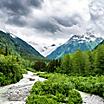 National Park Forest, Inside Passage, Alaska