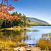 Lush Landscape at Acadia National Park in Bar Harbor, Maine