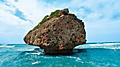 The Bathsheba Beach Rock Climbing, Bridgetown, Barbados 