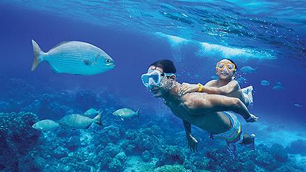 Cozumel Columbia Reef Snorkeling Father and Son