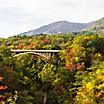 A bridge crossing over the Noruko Gorge in Kobe, Japan