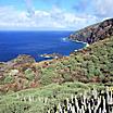 The volcanic coastal terrain in La Palma, Canary Islands