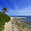 Beach Scenery with Lush Landscape, Montego Bay, Jamaica