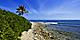 Beach Scenery with Lush Landscape, Montego Bay, Jamaica