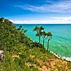 Beach and tropical vegetation in Port Douglas, Australia