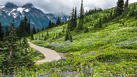 Nature Park Hike, Sitka, Alaska