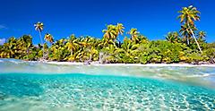 Clear Blue Water Beach in the Caribbean