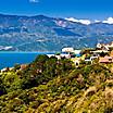 Hillside homes in Wellington, New Zealand